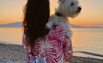 Westie puppy hugged by owner on the beach, at sunset - Crete, Greece