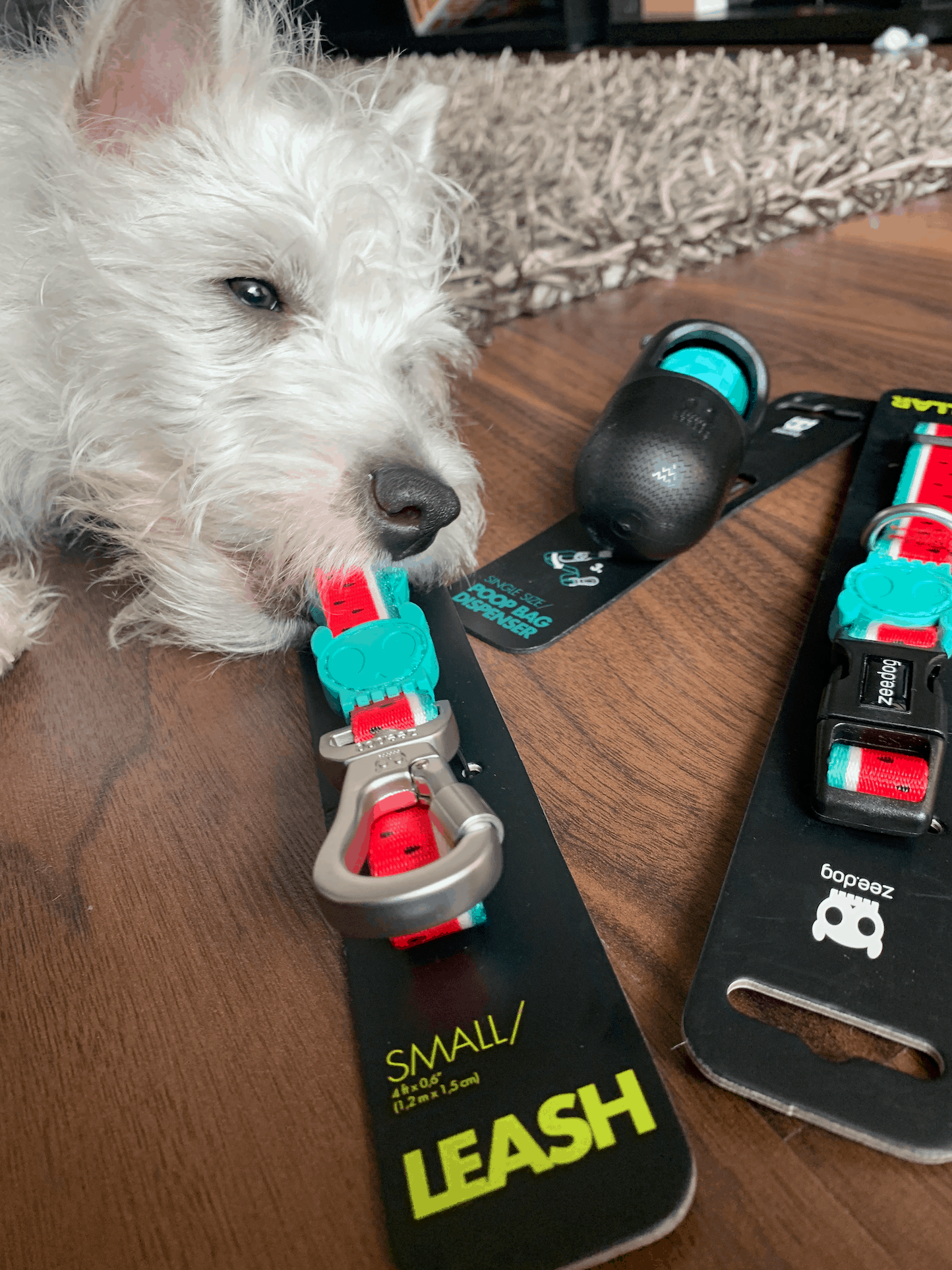 Zeedog lola dog lead review