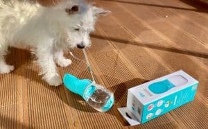 CJMJ Portable Dog Water bottle and a westie puppy