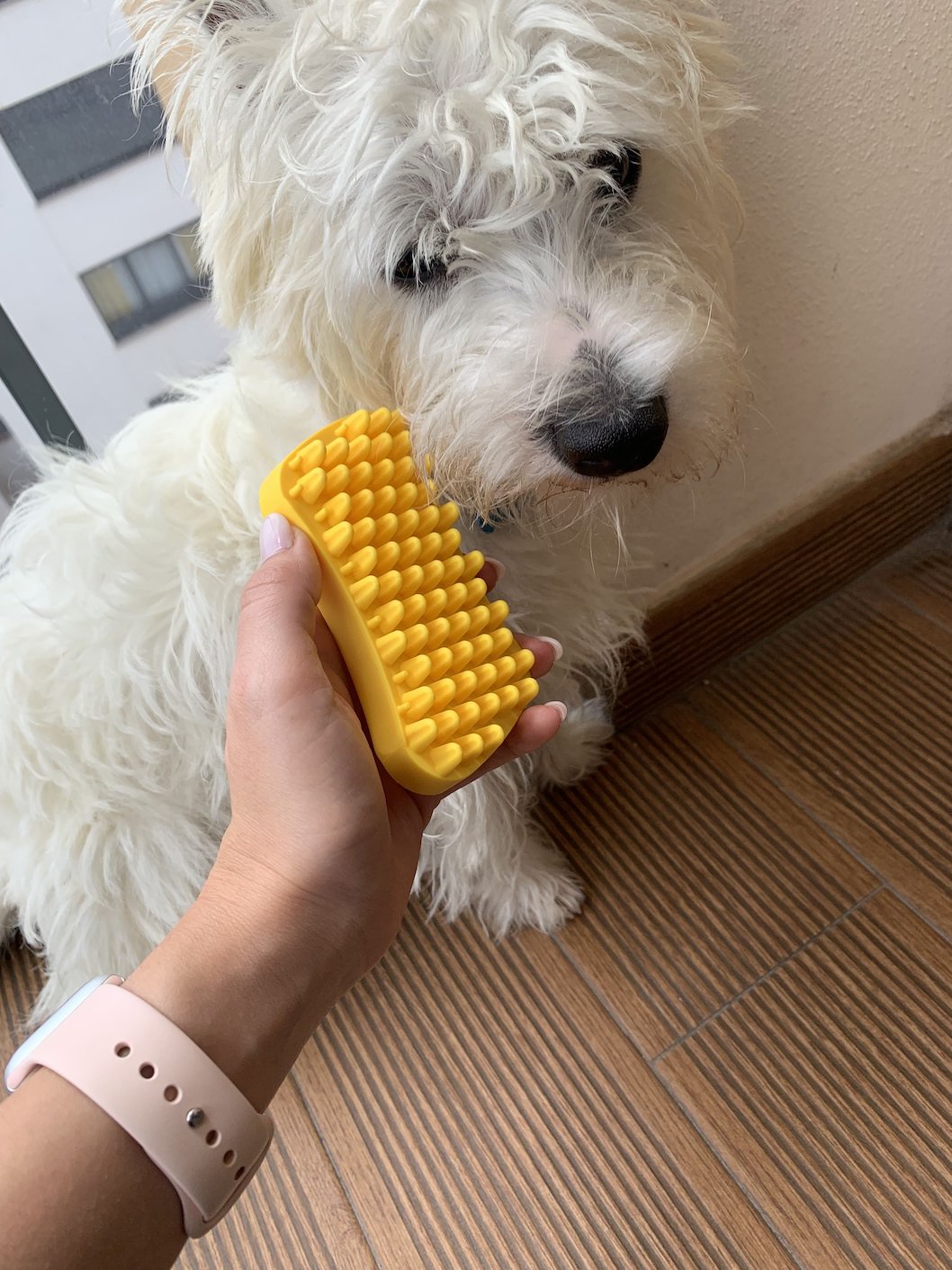 Westie grooming - pet me multi functional grooming brush review 3