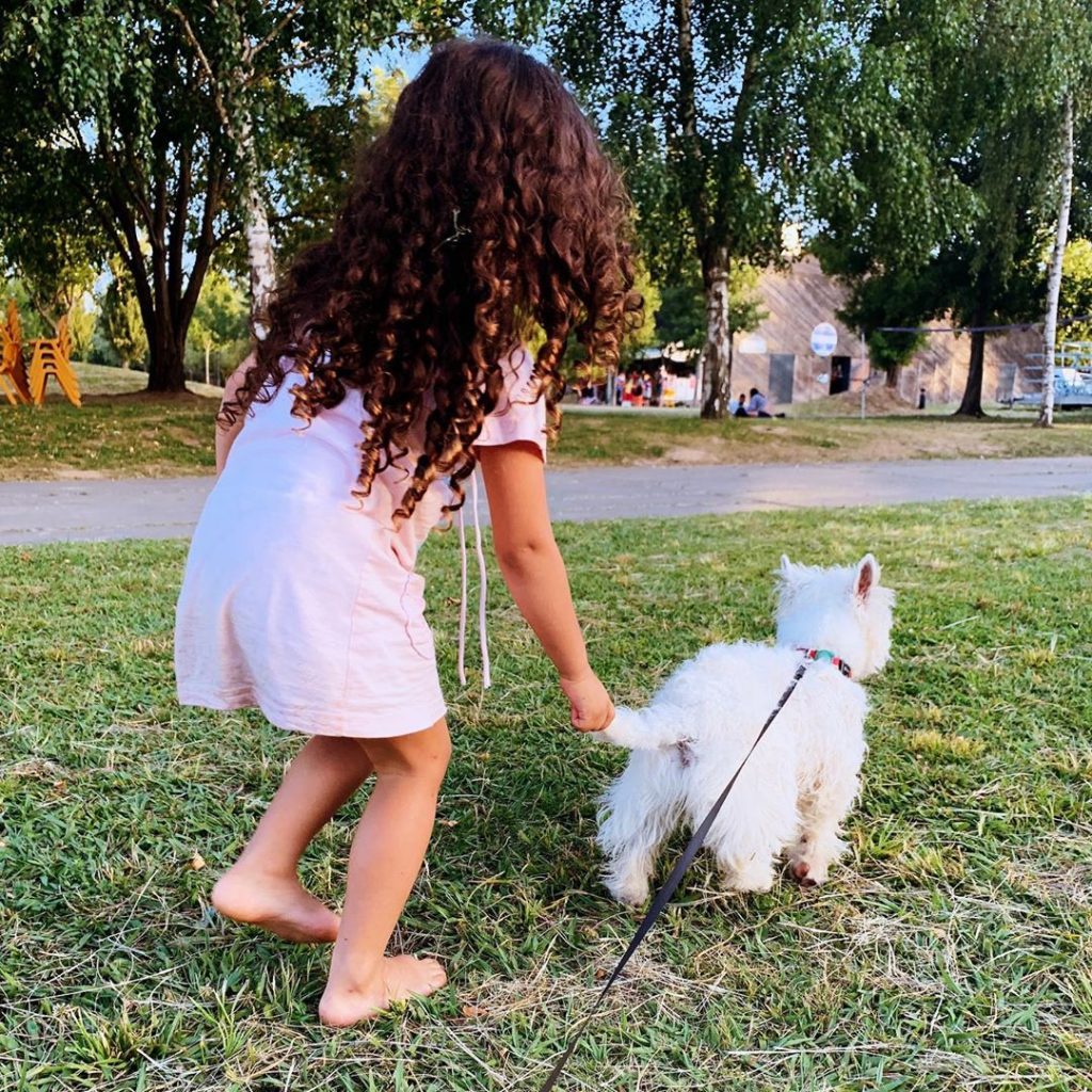 Kid holding westie puppy's tail whilw playing in the park