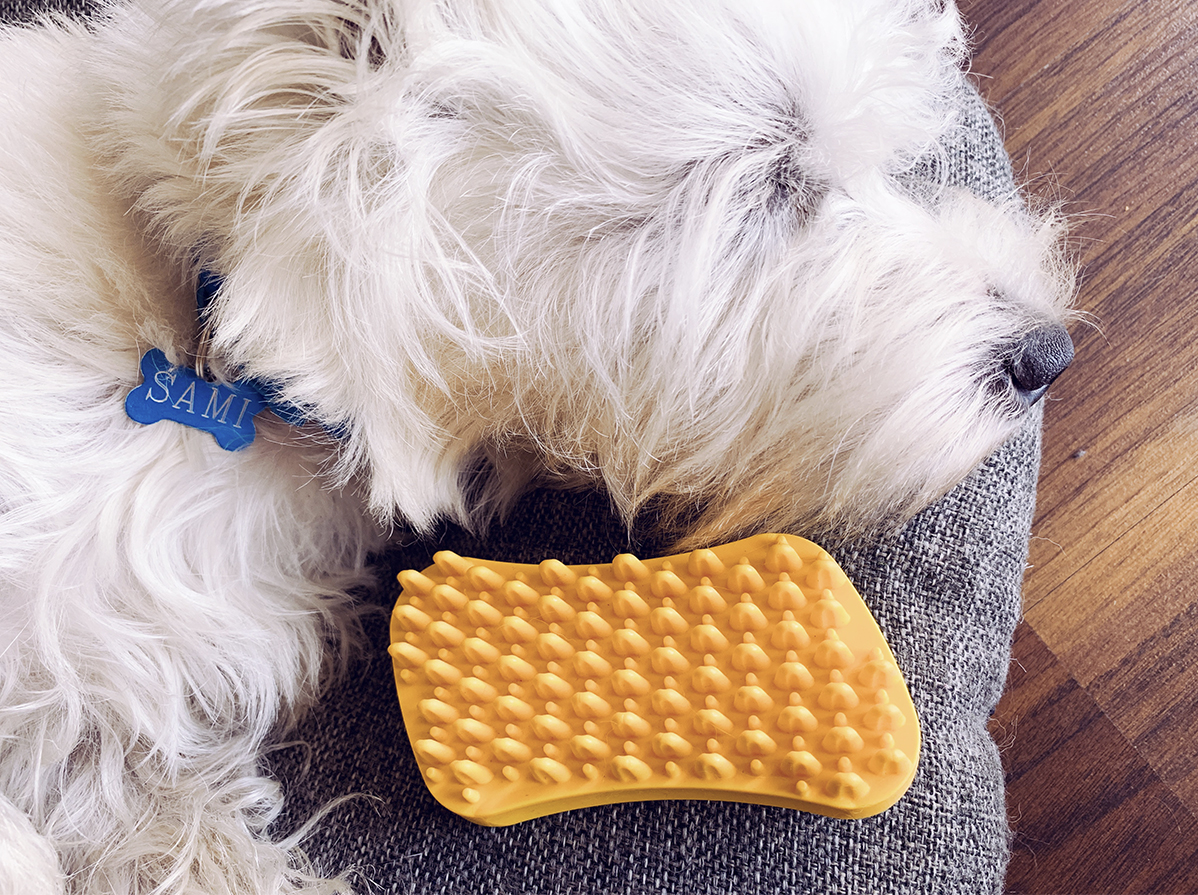 Pet+Me-Multi-Functional-Grooming-Brush-Review