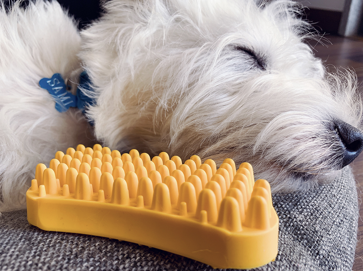 Pet+Me-Multi-Functional-Grooming-Brush-Review