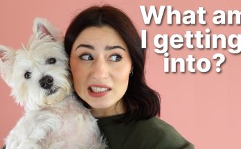 Miruna holding Sami the West Highland White Terrier - What am I getting into?