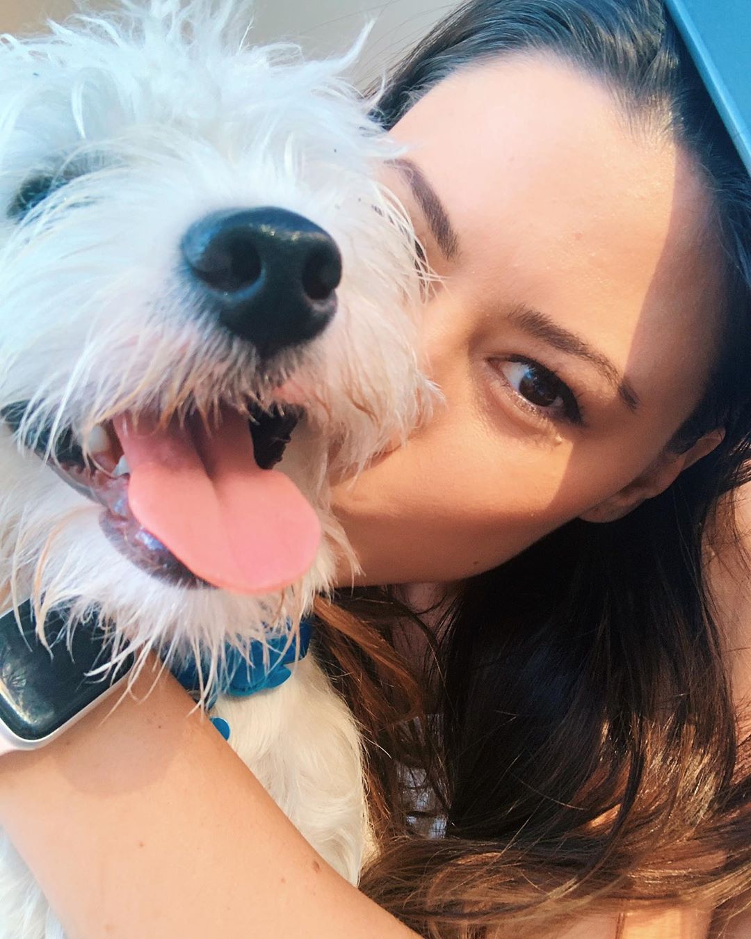 Westie puppy and owner in a selfie