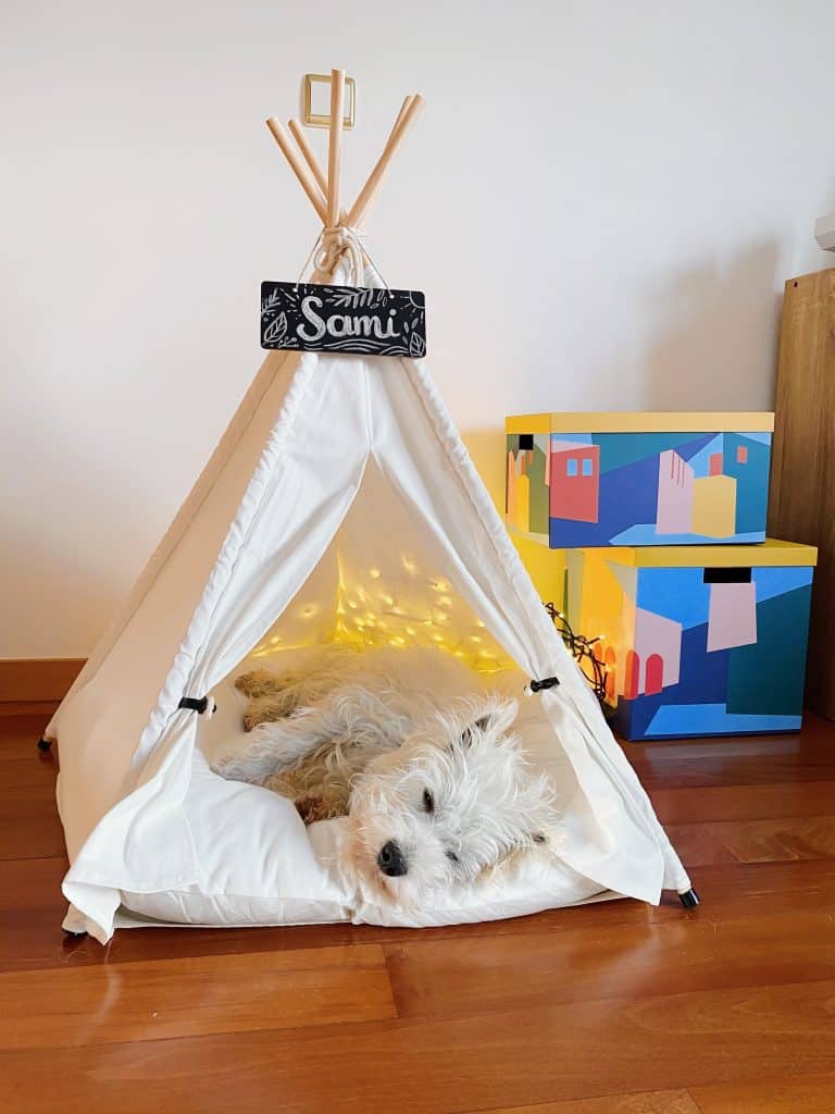 Got this pet teepee tent for Sami and loving it