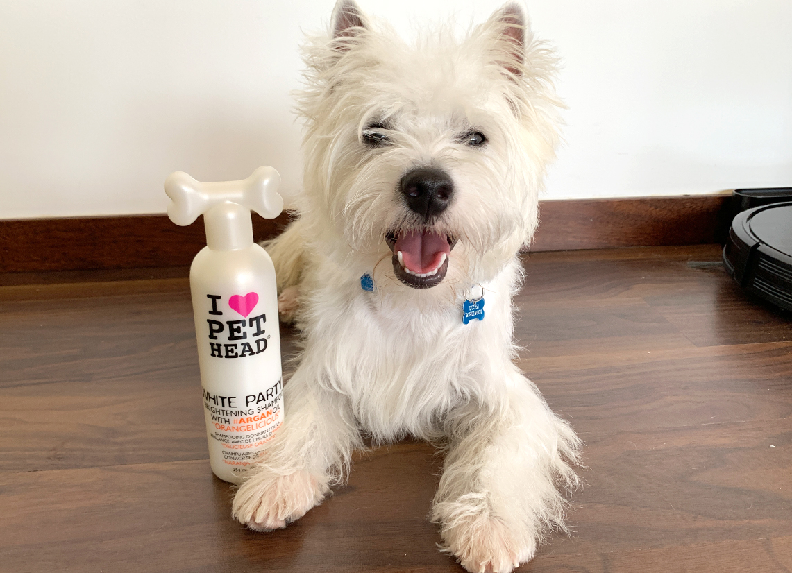 Daily Use Westie Products