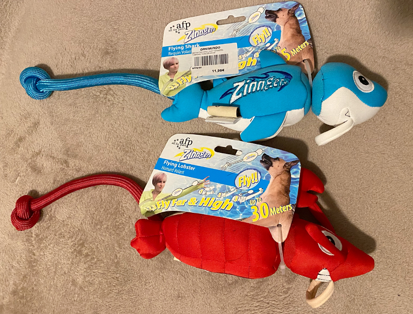Slingshot flying dog toy