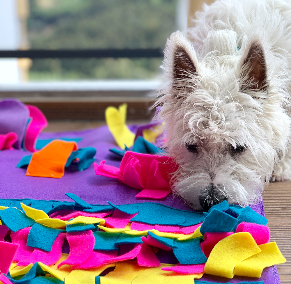 Dog snuffle mat for mental stimulation