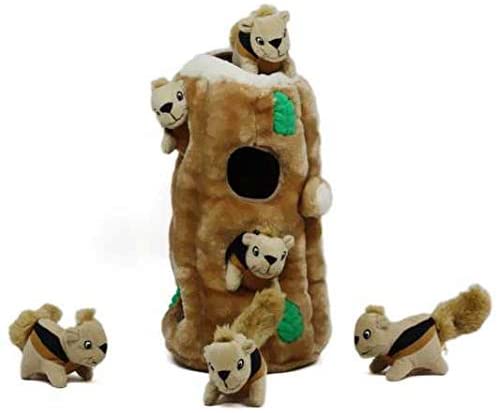 Squirrel plush dog toy