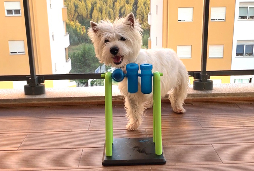 Trixie slow eater interactive dog toy