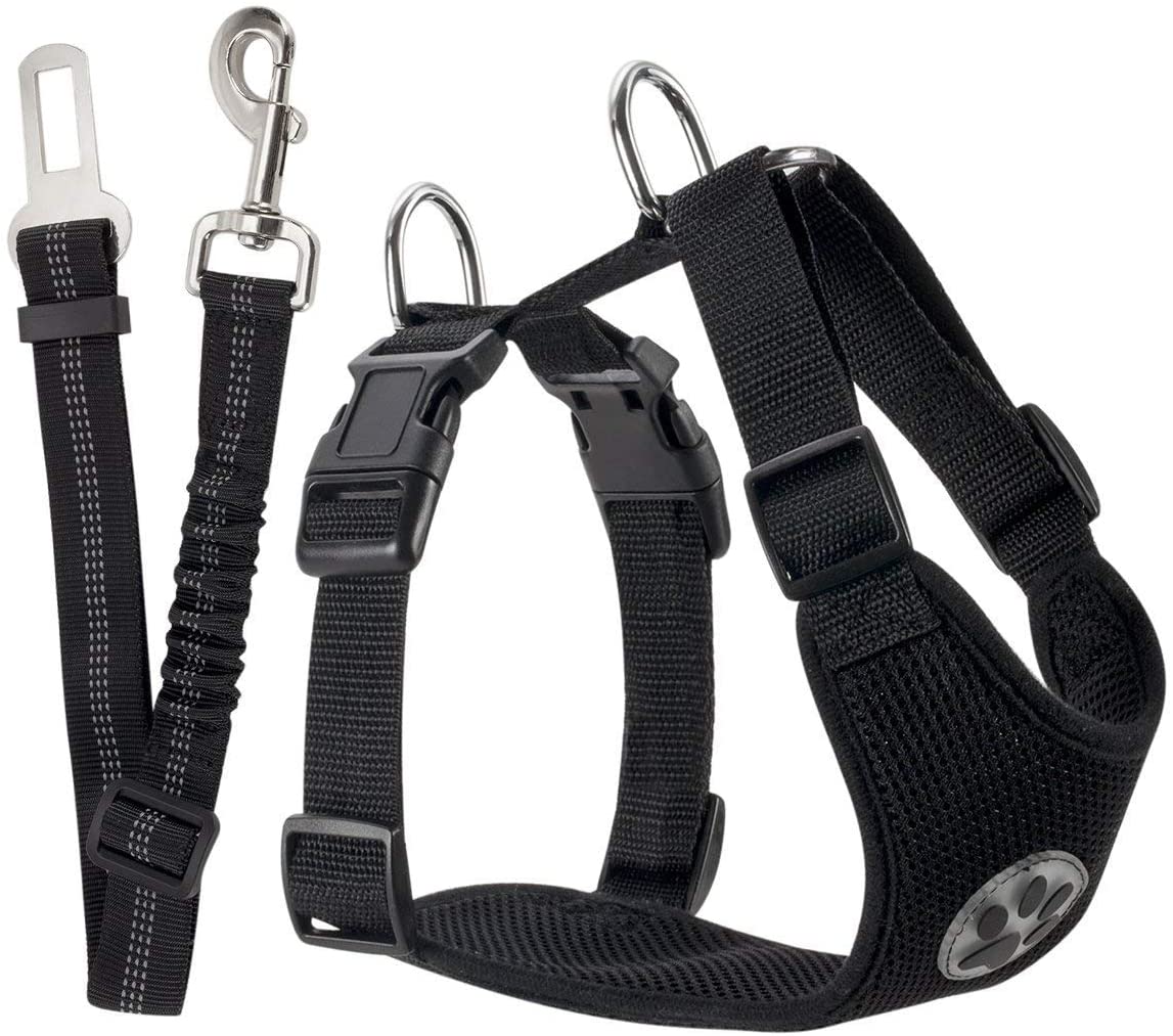 Dog car harness and seatbelt set