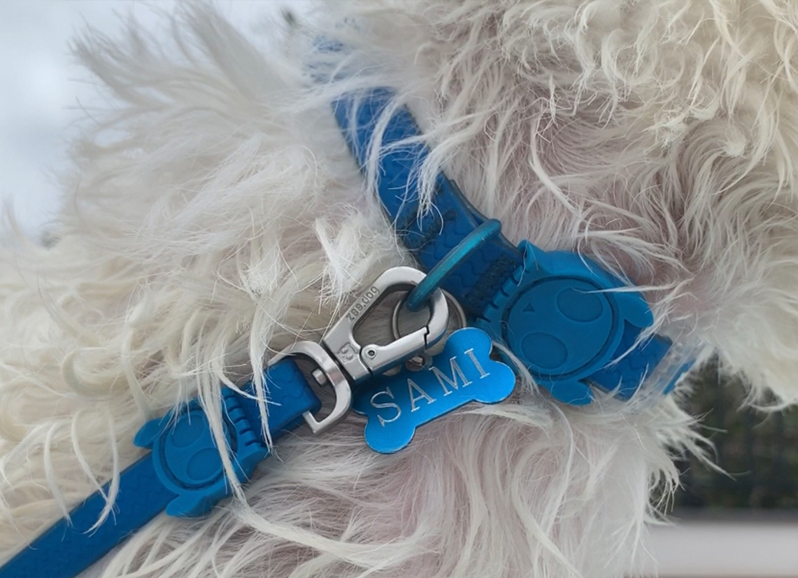 Zee.Dog waterproof dog leash