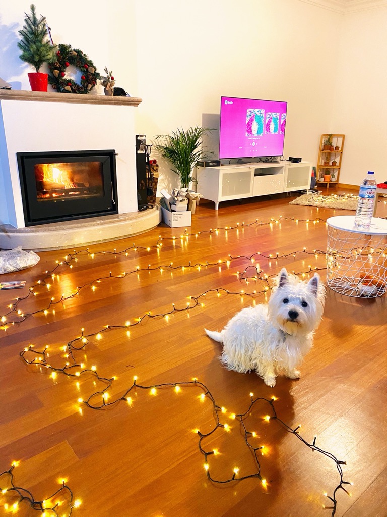 Exciting end of 2019! How we spent the holidays