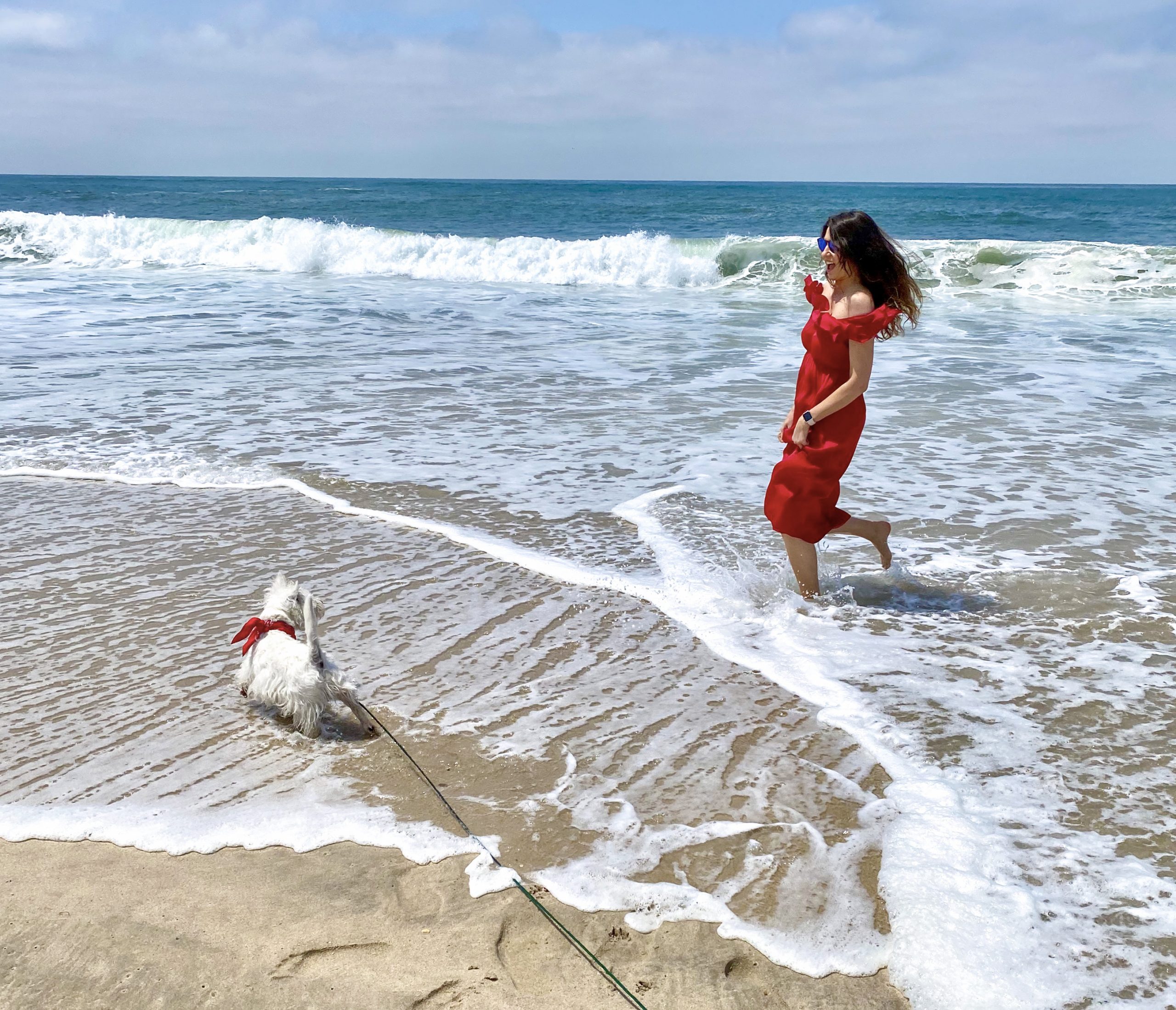 Can Westies be Trusted Off Leash? And Our Solution