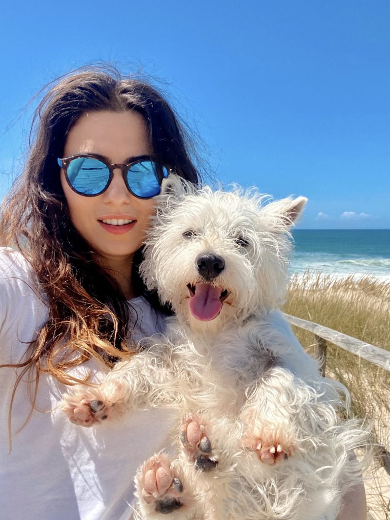 Sami the westie at the beach