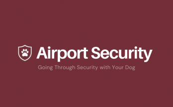 Going through airport security with your dog