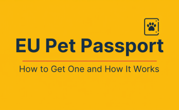 EU pet passport for dogs - how to get one