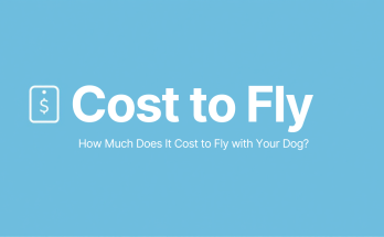 How much does it cost to fly with your dog in the cabin