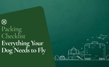 Packing checklist for flying with your dog