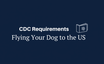 CDC requirements for flying with your dog to the United States