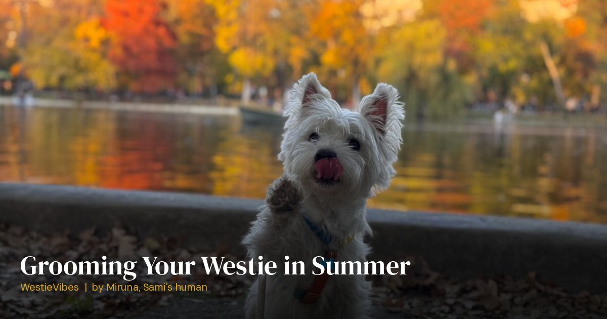 Sami the westie outdoors in autumn