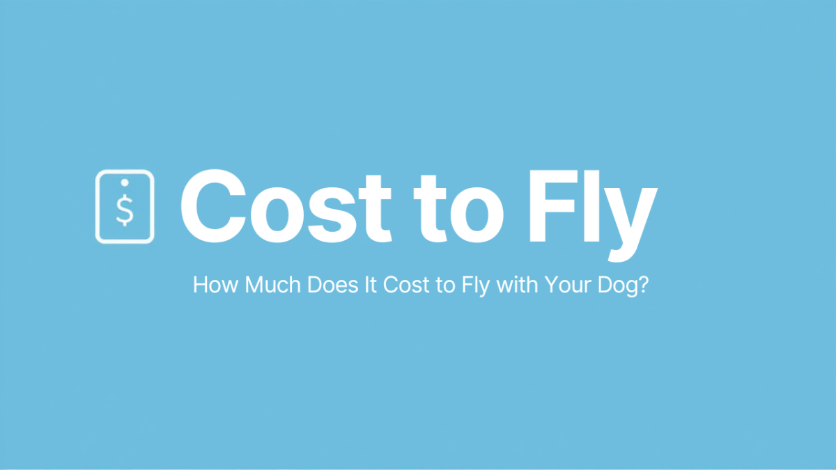 How Much Does It Cost to Fly with Your Dog?