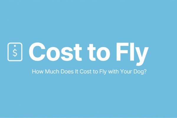 How Much Does It Cost to Fly with Your Dog?
