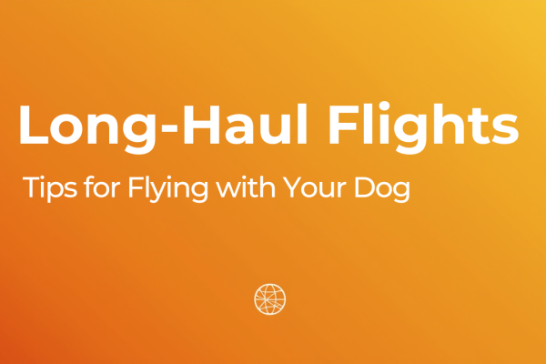 Tips for Long-Haul Flights with Your Dog in the Cabin