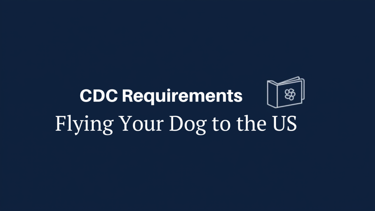 Flying Your Dog to the US: CDC Requirements Explained