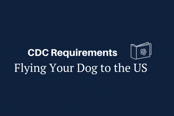 Flying Your Dog to the US: CDC Requirements Explained