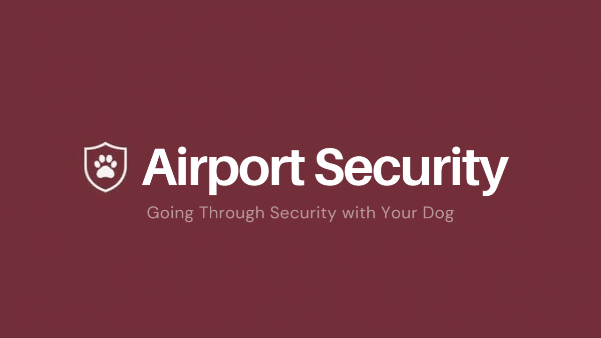 Going Through Airport Security with Your Dog