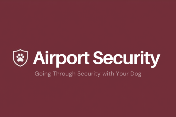 Going Through Airport Security with Your Dog