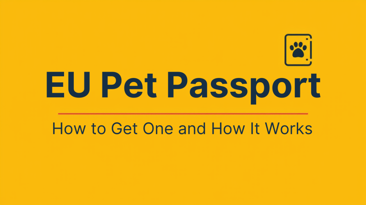 EU Pet Passport Explained: How to Get One and How It Works