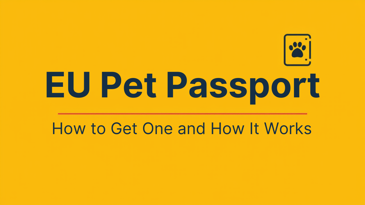 EU Pet Passport Explained: How to Get One and How It Works