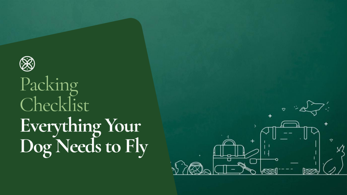 The Ultimate Packing Checklist for Flying with Your Dog
