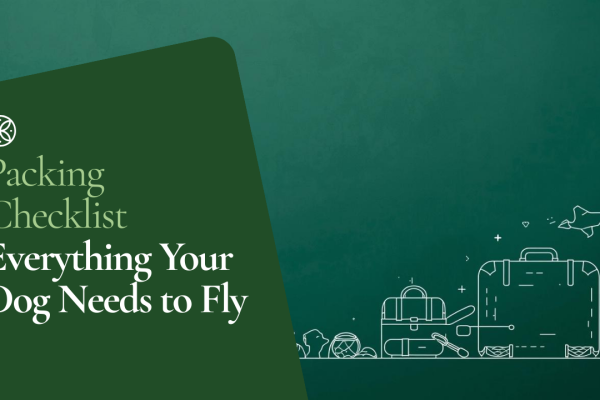 The Ultimate Packing Checklist for Flying with Your Dog