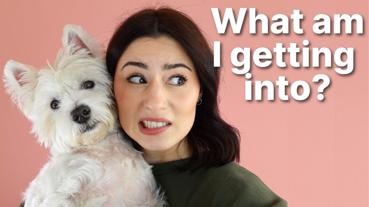 West Highland White Terrier: The Complete Westie Guide