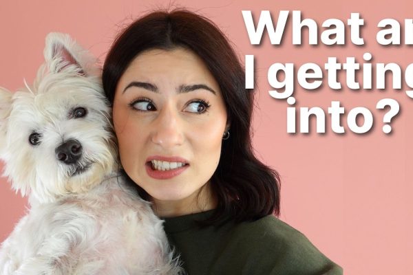 West Highland White Terrier: The Complete Westie Guide