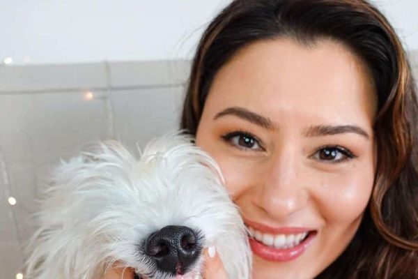 How to Find a Reputable Westie Breeder