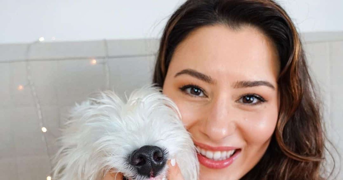 How to Find a Reputable Westie Breeder