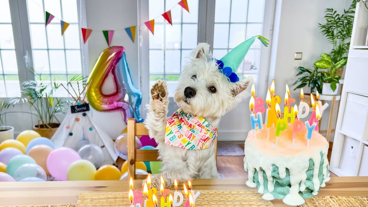 Sami Turns 4: My First Attempt at Baking a Dog Cake