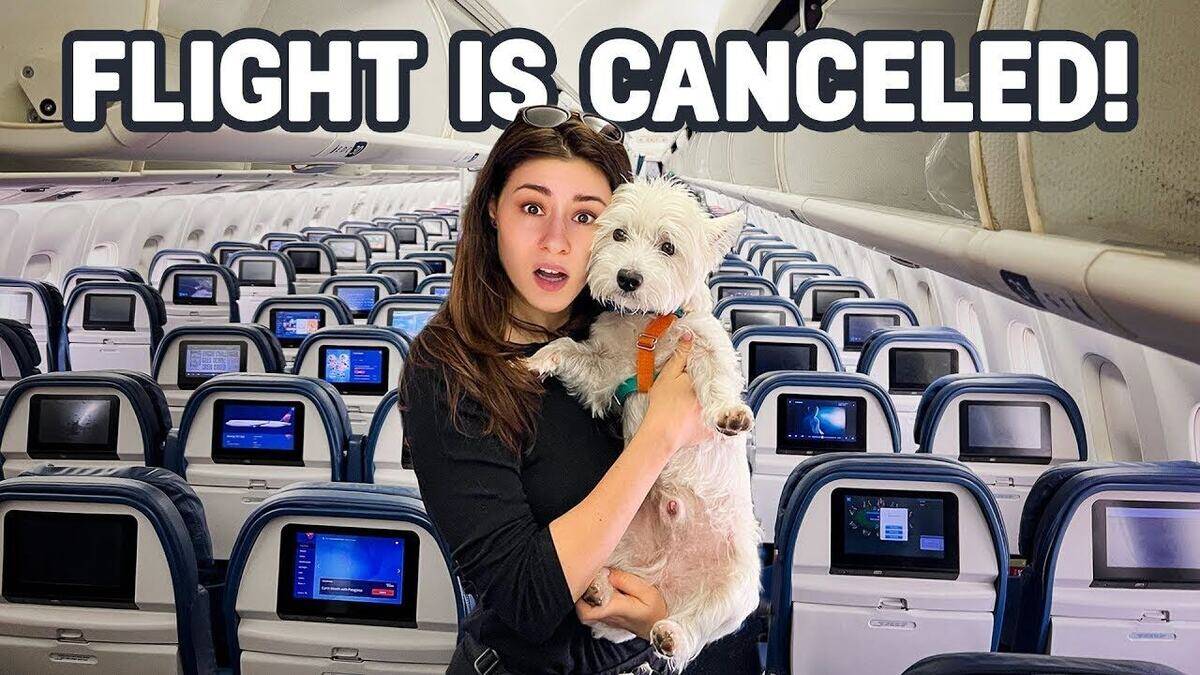 They Canceled Our Flight to New York