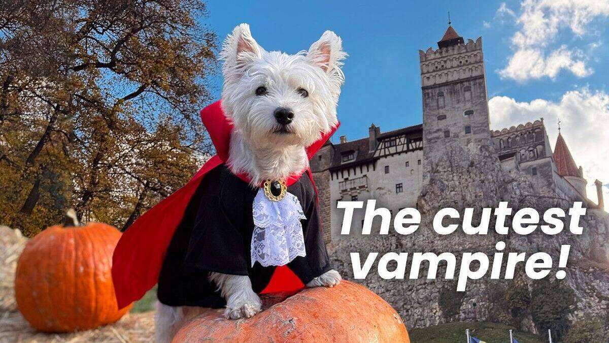 Trick and Treat: Sami's Halloween