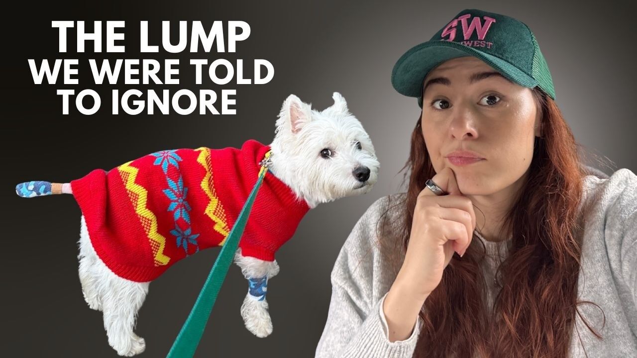 We Had to Amputate Part of Sami's Tail