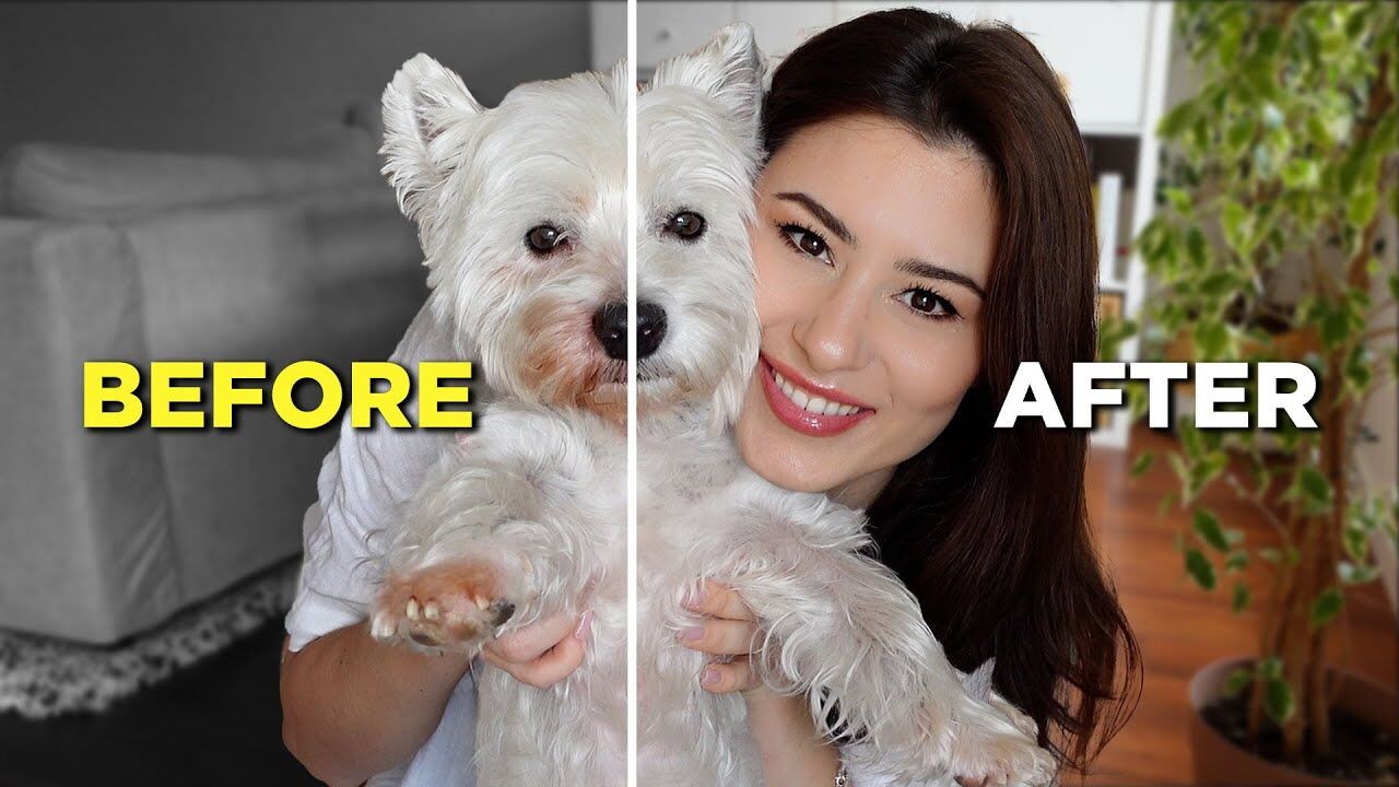 Westie Beard Stains: How I Keep Sami White Around the Mouth